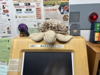 ぬいぐるみたちからのハロウィンナイトin図書館