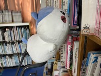 ぬいぐるみたちからのハロウィンナイトin図書館