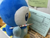 ぬいぐるみたちからのハロウィンナイトin図書館