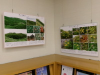 大山自然歴史館