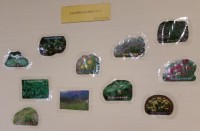 大山自然歴史館