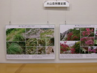 大山自然歴史館