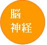 脳神経